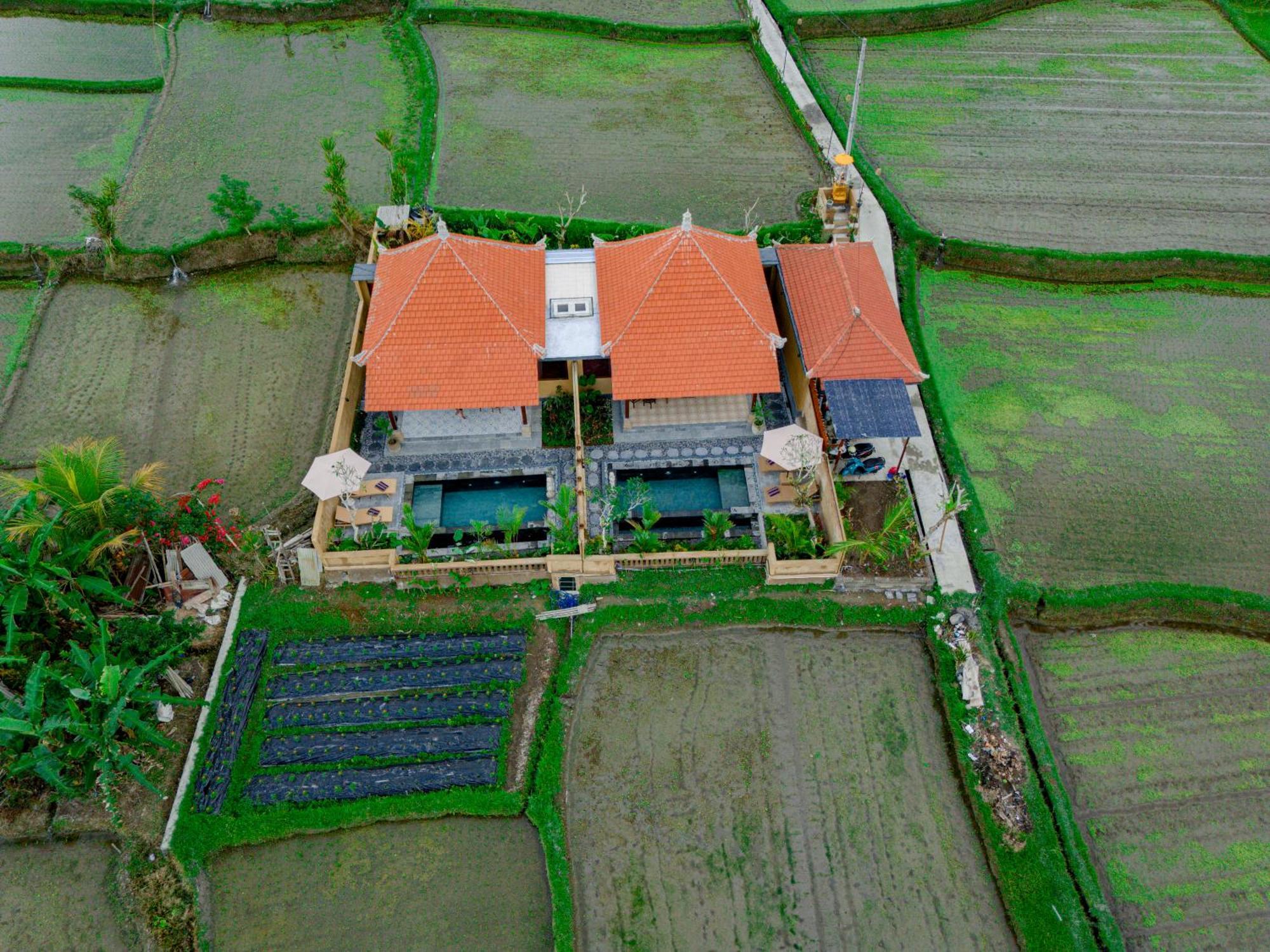 Umesari Villa Sebatu By Uniquecations Ubud Zewnętrze zdjęcie